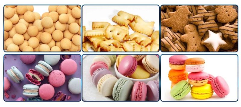 Commercial Fish Cake Biscuits Making Line with Factory Price