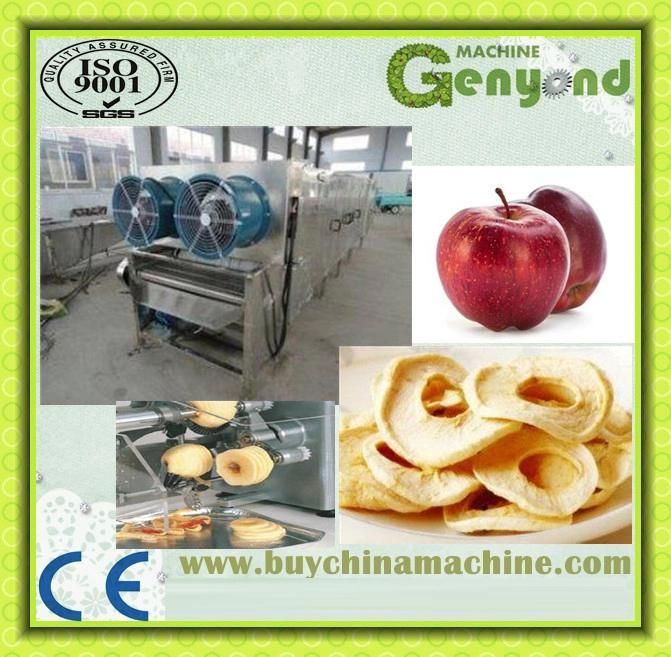 50000PCS Per Hour Apple Slicing Machine