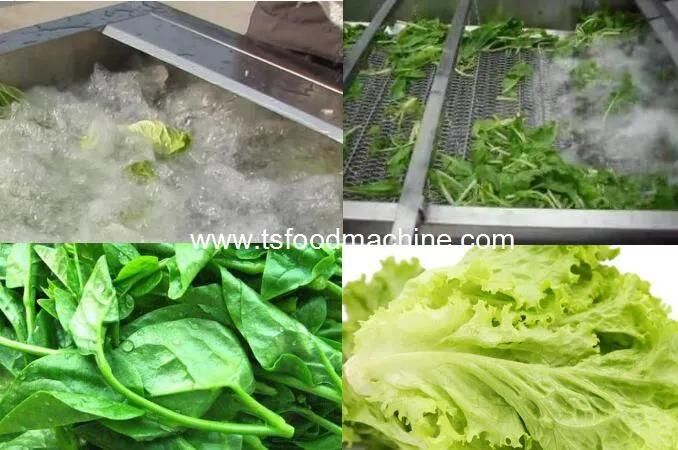 Vegetable Bubble Washing Machinery Salad Washing Machine