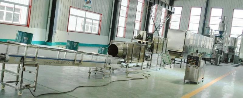 Big Capacity Automatic Dog Pet Food Processing Machine