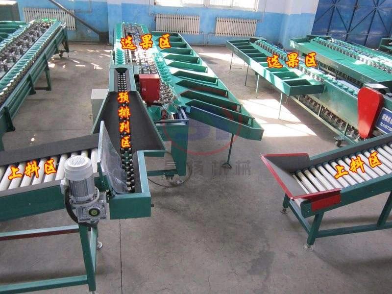 Conveyor Weight Grader Fruit Vegetable Seafood Grading Sorting Machine