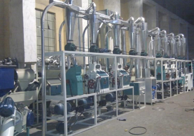 Maize Processing Machinery