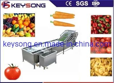 Food Processing Line Fruit Vegetable Air Bubble Washer