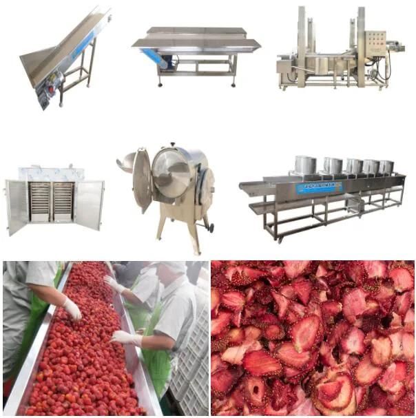 Drying Strawberry Slices Processing Line Sorting Washing Cutting Dryer Machine