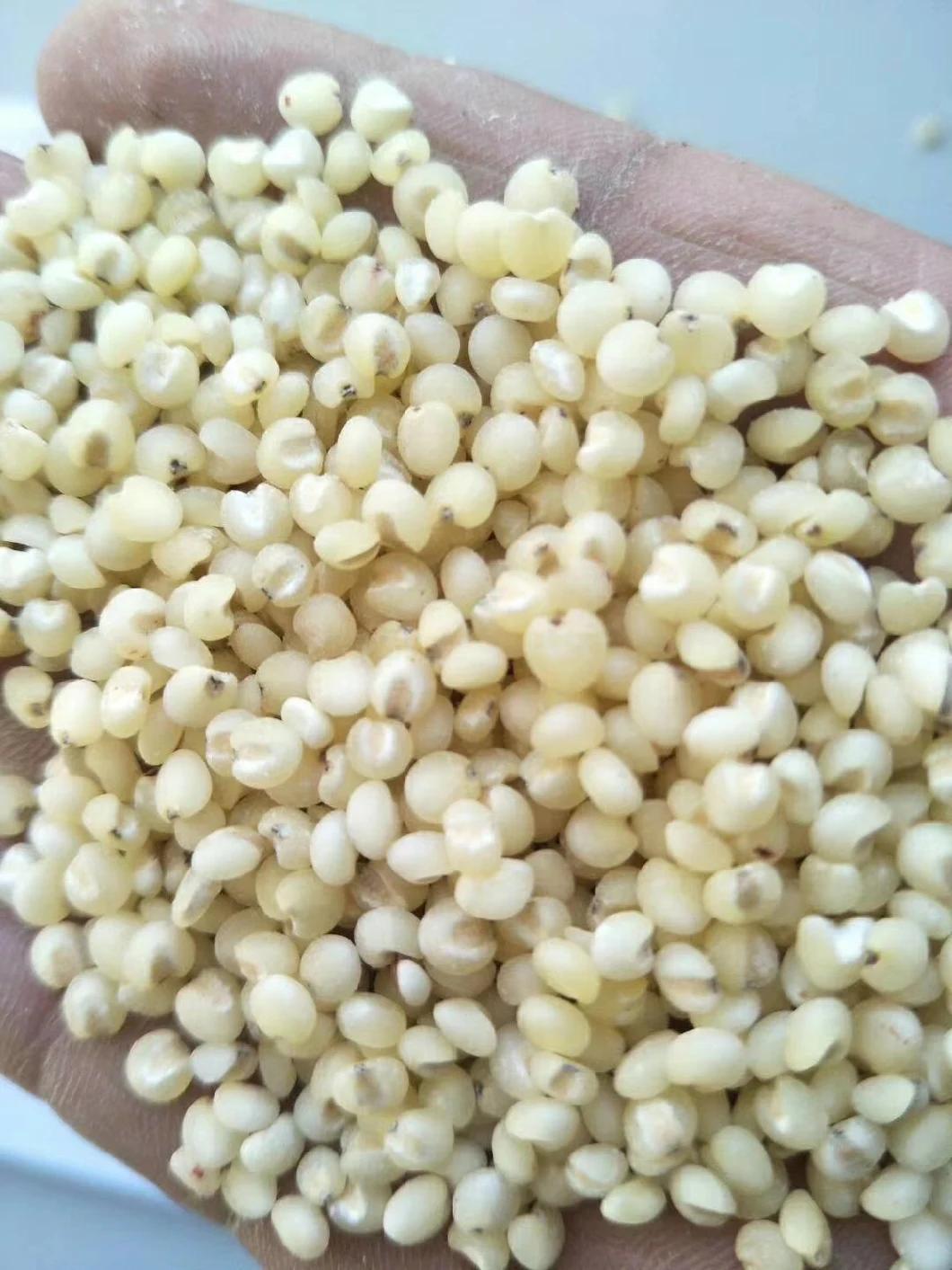 Clj Brand Sorghum Coarse Rice Rice Process Professional Auto Rice Mill Machine