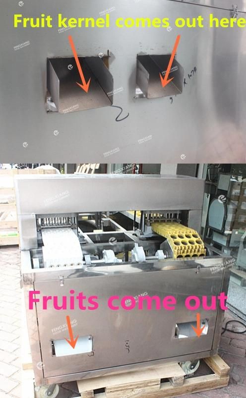 Fruit Olive Stoner Machine, High Speed Plum Pitting Machine