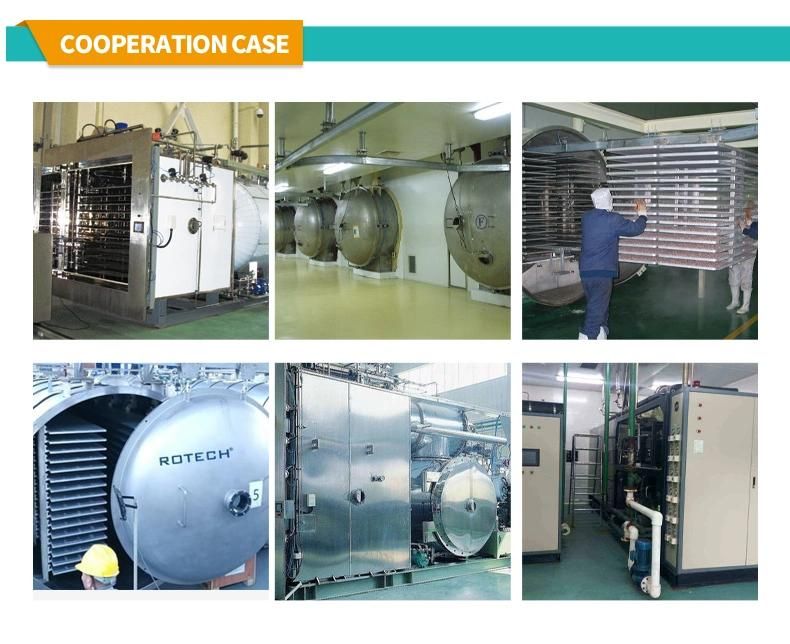 25m2 Vacuum Freeze Dryer Lyophilizer for Vegetables and Fruits Processing