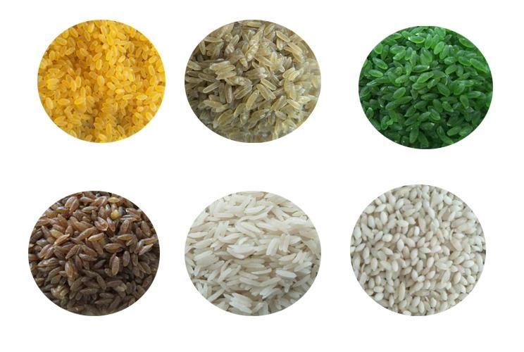 Instant Rice Porridge Making Machine Manufacturers Fortified Rice Machine Processing Line