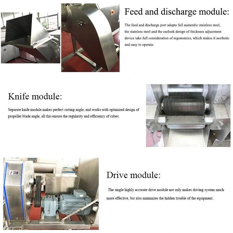 Heavy Duty Made in China Sausage Cutter Meat Dicer Machine