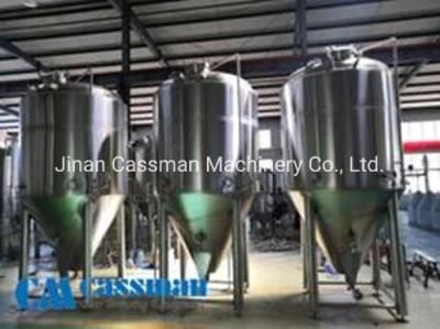 Cassman Turnkey Project Conical Beer Fermentation Tank 3000L for Brasserie