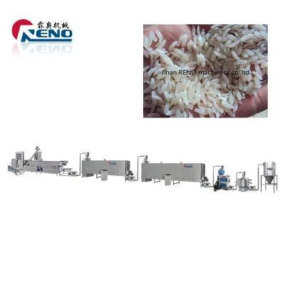 Cheapest Artificial Rice Project