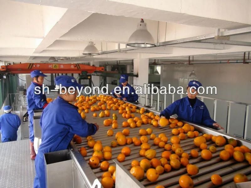 5t/H Natural Orange Juice Production Line