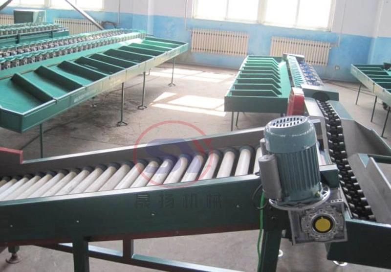 Large Capacity Potato/Tomato/Orange Sorting Grading Selecting Machine with Cheap Price