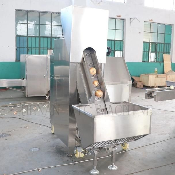 2500KG/H Three Belts Stainless Steel Onion Processing Machine Onion peeler