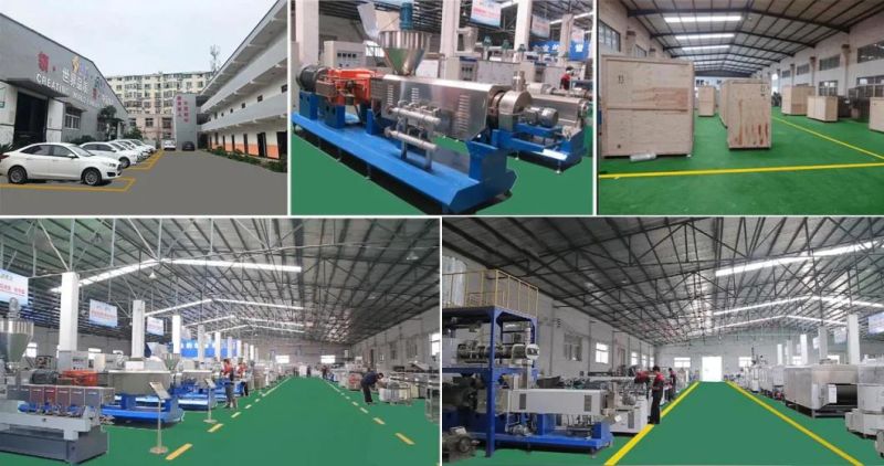 China Man Made Rice Machine Artificial Rice Nutritional Rice Fortified Rice Extruding Machine