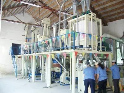 China Supplier Corn Flour Milling Machine for Sale in Africa