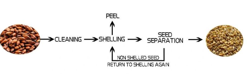 Agricultural Machinery Peeling Sheller Machine Tartary Buckwheat Hulling Cleaning Machine