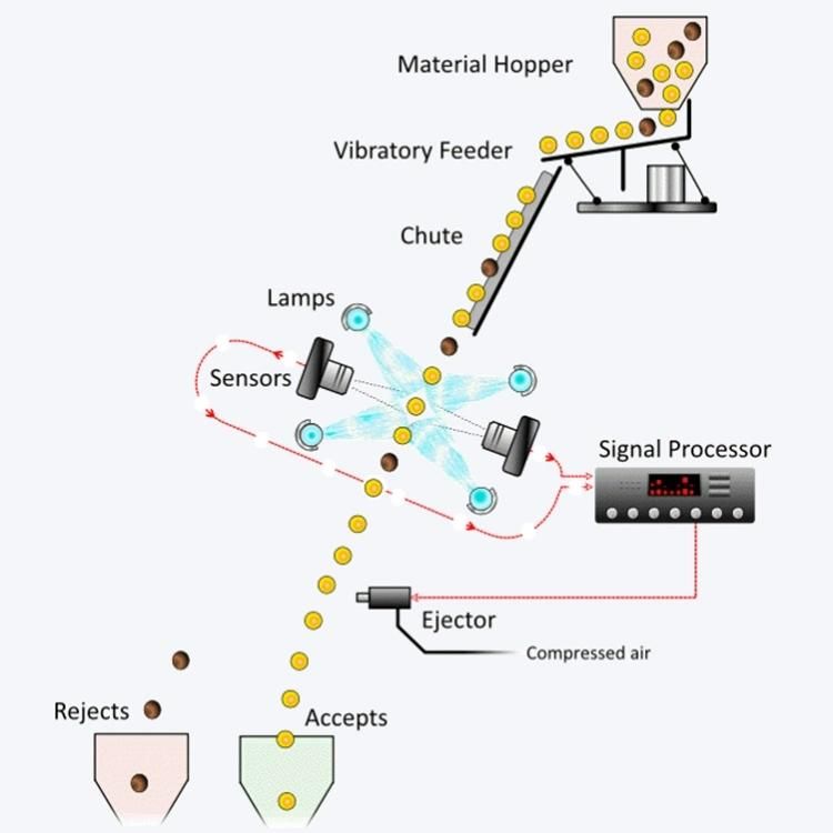 Food Processing Equipment 3 Chutes Chitin Color Separator