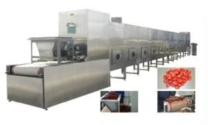 Best Price Microwave Drying Equipment for Food, Fruit