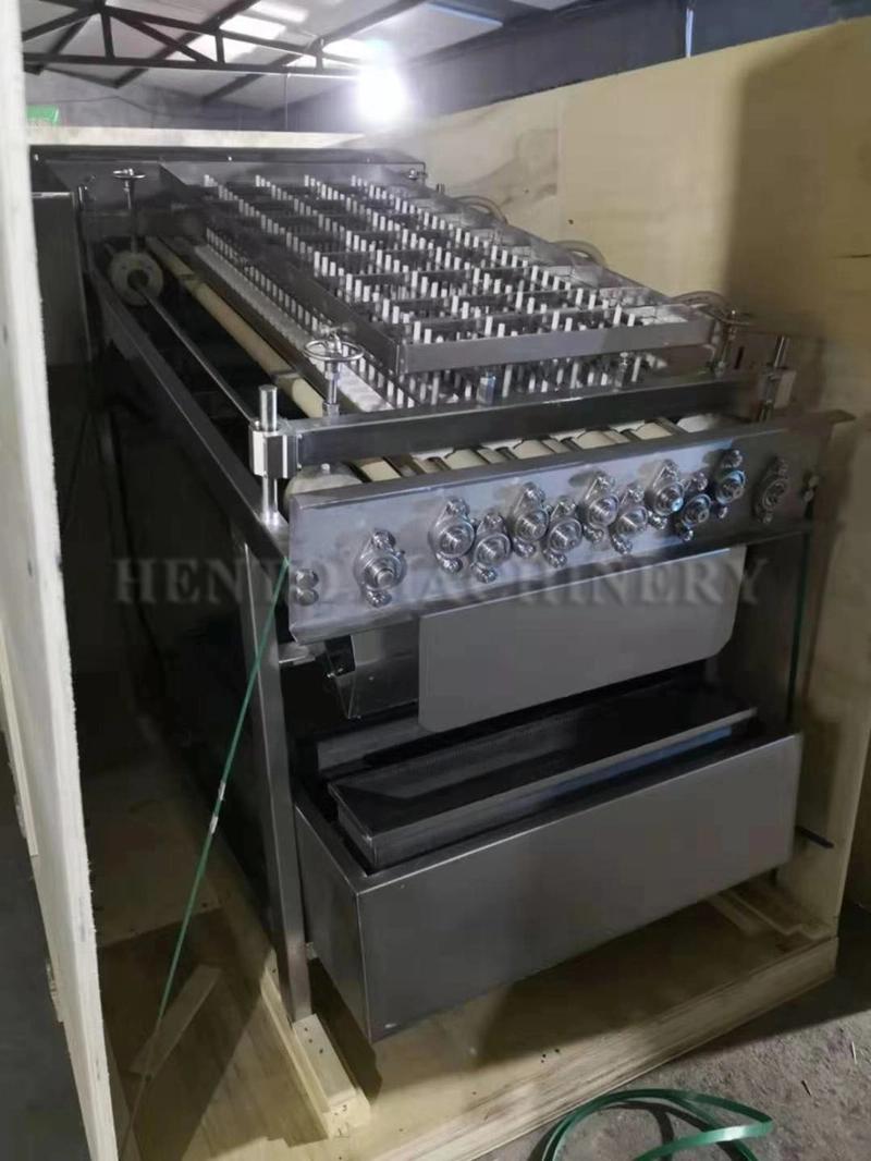 Factory Price Automatic Shrimp Peeling Deveining Machine