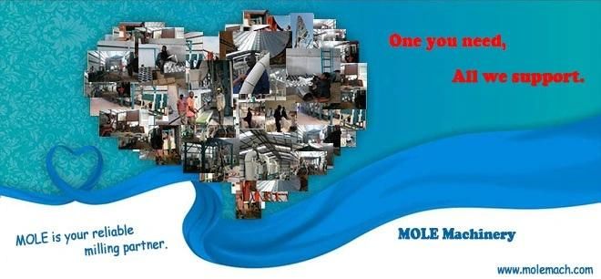 Hot Sale Wheat Flour Mill for South Africa with Competitive Price (80t)