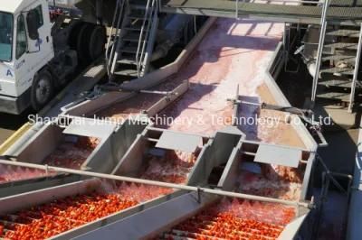 Industrial Pepper Paste Processing Line Pure Pepper Puree Making Machine