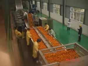 Turn-Key Solution for Fruit Orange Juice/Citrus/Beverage Processing Line