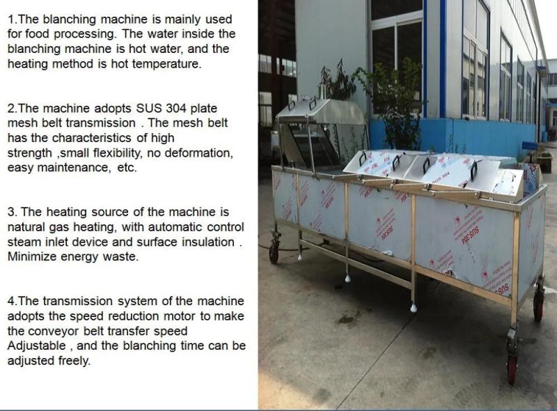 Industrial Food Blanching Machine Fruit Vegetables Cucumber Blanching Machine