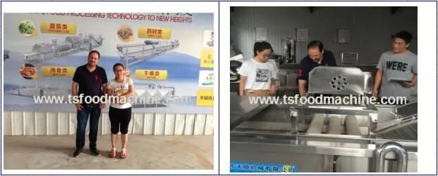 Automatic Factory Direct Stainless Steel Potato Chips Machine/Potato Chips Line