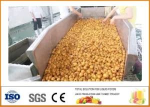 Tomato Paste Dilution Processing Production Line Vegetable Jam Production Plant Apricot ...