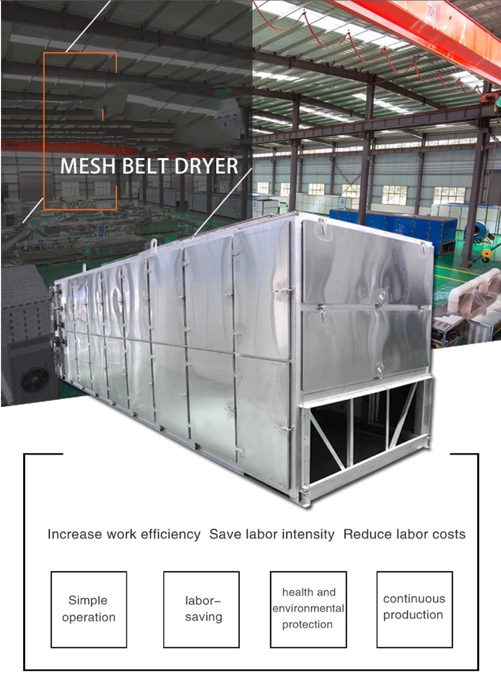 Fully Automatic Electric Gas Food/ Vegetables/ Fruit/ Garlic /Ginger /Carrot /Onion /Potato/Herbs Drying Machine