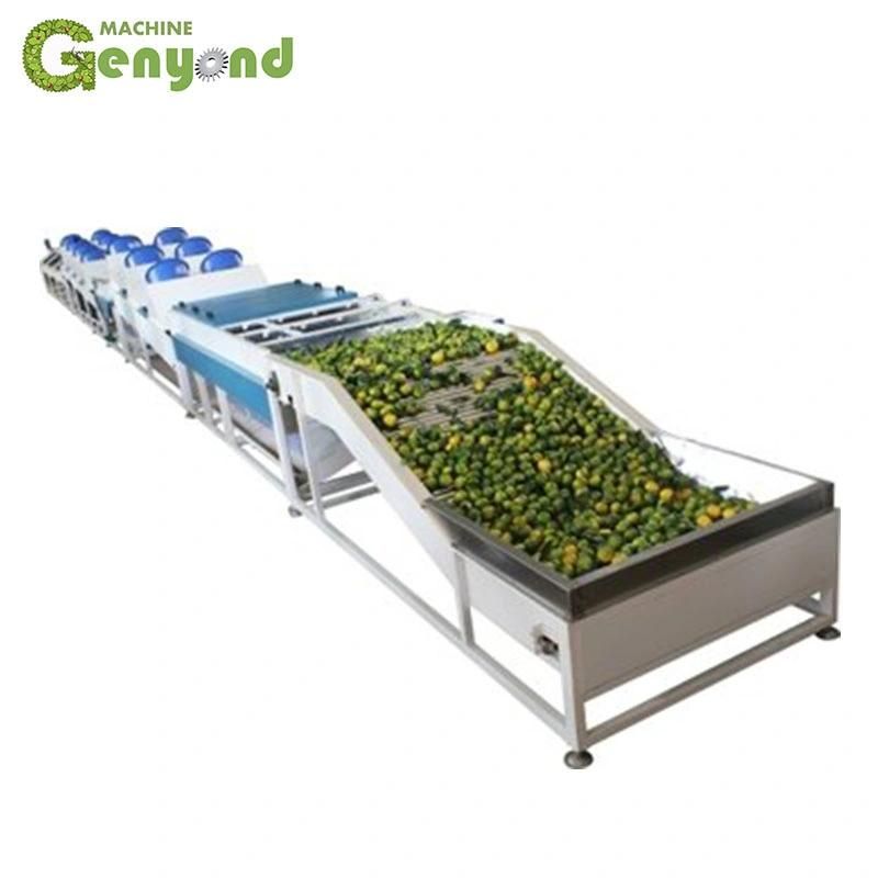 Industrial Fruit Washing Drying Waxing Machine