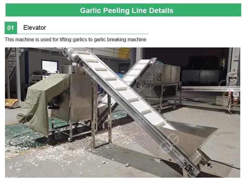 Automatic Chain Type Garlic Separating Peeling Machine Line