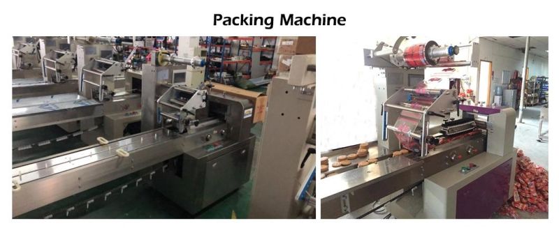 Automatic Cracker Chips Biscuit Cookie Making Machine Factory