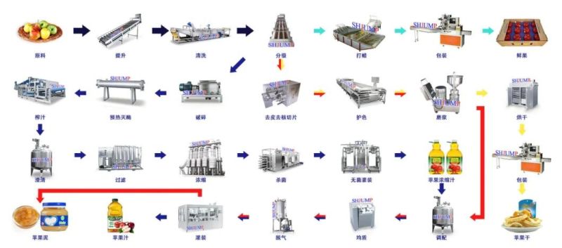 Apple Paste/Puree/Juice Processing Line/Processing Machine/Production Line