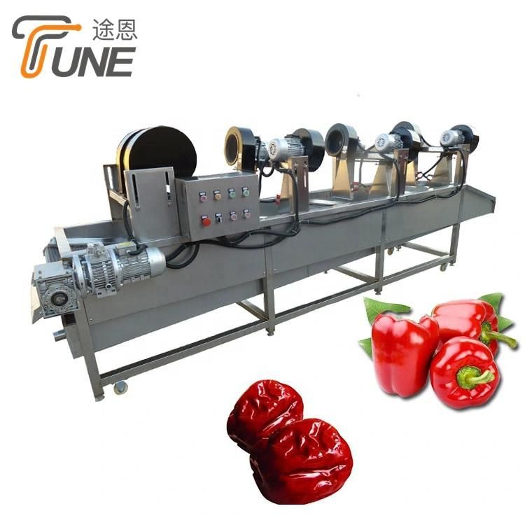 Widely Used Fruit and Vegetable Potato Washing Machine and Drying Machine