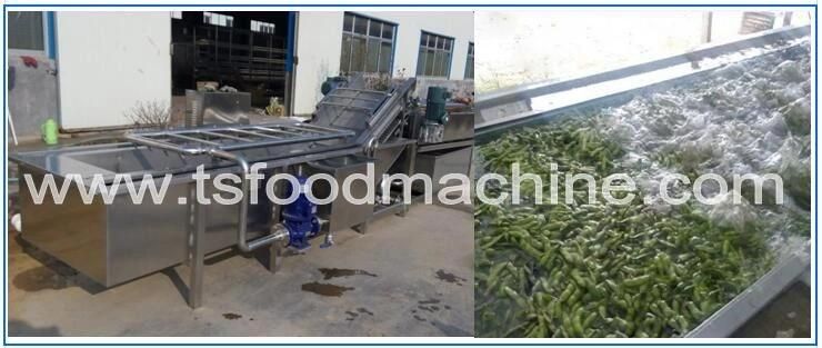 Chinese Manufacturing Mushroom Washer and Washing Machine