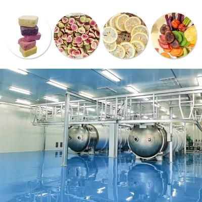 Freeze Dryer for Vegetable, Fruit or Meat, Vacuum Freeze Dryer, Freezing Dryer Equipment