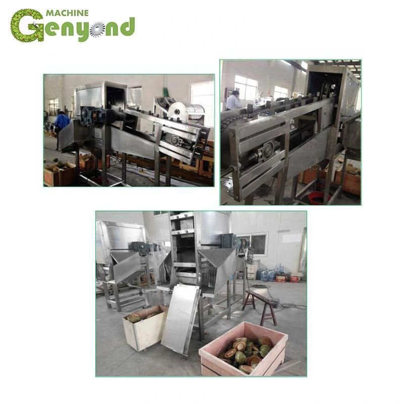 Genyond Coconuts Half Cutter with Capacity 800PCS/H