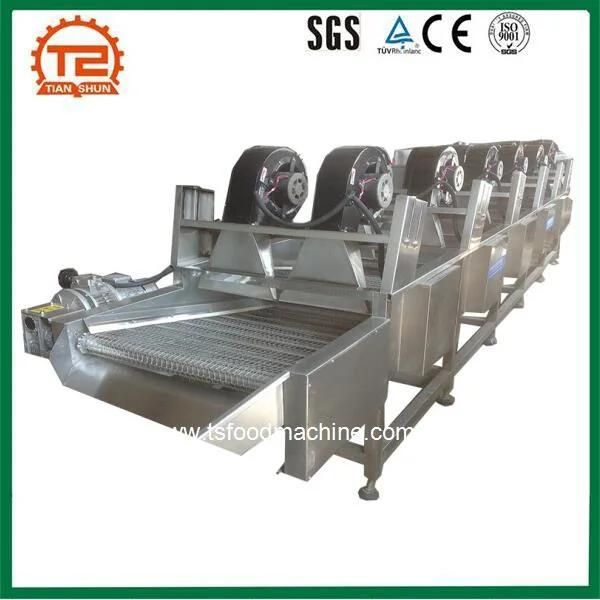 After Washing Tomato Air Drying Equipment/Belt Conveyor Dryer Machine for Washed Tomato