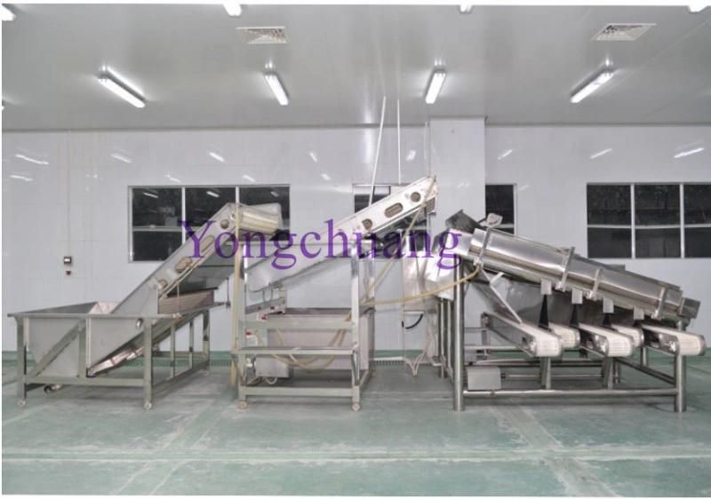 Automatic Shrimp Peeling and Deboning Machine