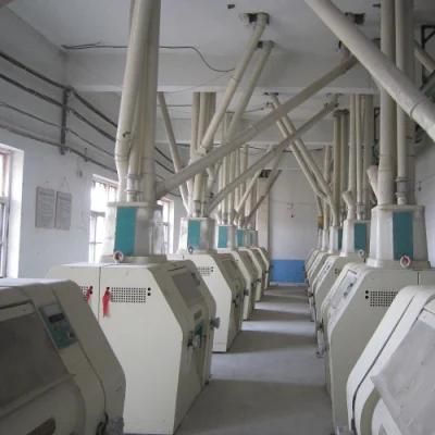 Customized Wheat Flour Mill Processing Production Line with Filter Machine (150t)