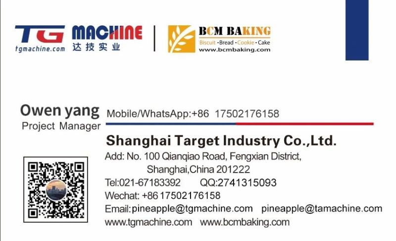 Tg Hot-Sale Products in Europe Boba Pearl Making Mini Machine Poping Boba Production Line and Boba Tea Machine