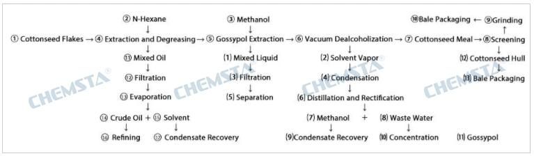 Cottonseed Protein Machine/Plant/Production Line/Technology