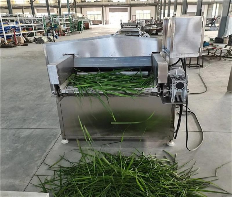 Food /Vegetable Blanching Equipment Yellow Peach Coconut Blanching Machine