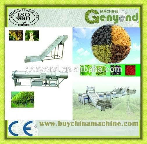 Raisin Washing/Drying/Sorting Machine