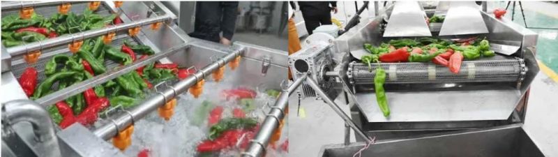 Vegetable and Fruit Bubble Washing and Cleaning Machine