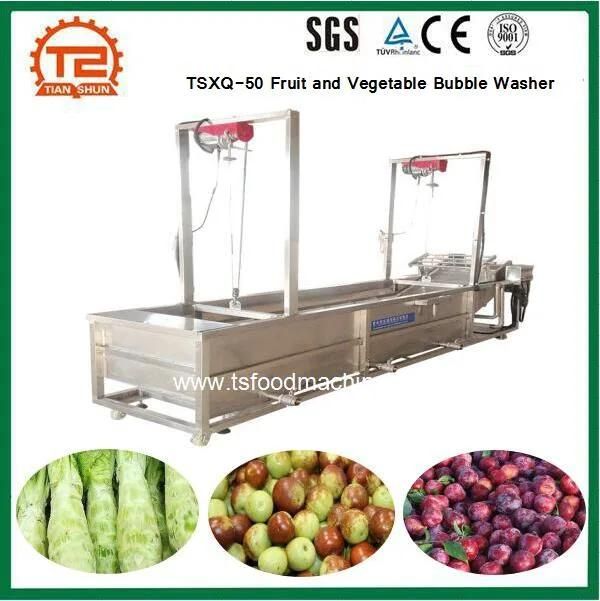 High Pressure Automatic Washing Equipment, Tsxq-50 Fruit and Vegetable Bubble Washer