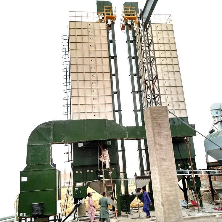 Clj Hot Sale Low Temperature Circular Paddy Dryer Rice Mill Machine for Rice Processing in Egypt Vietnam Thailand