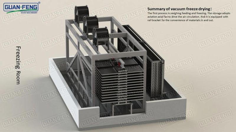 25m2 High Speed Tray Vacuum Freeze Dryer & Oven Machine Lyophilization